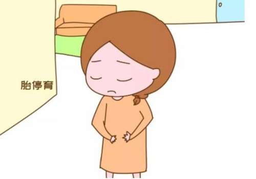 湖州助孕代生中心：﻿为什么生男生女早就注定了,生男生女真的是命定的吗