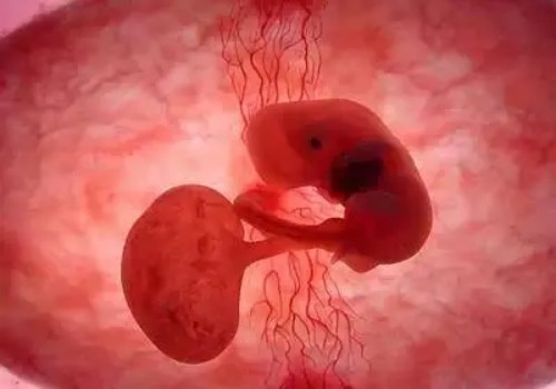 湖州三代试管助孕：石家庄精子库申请精子做供精试管也有条件，这三点你必须满足